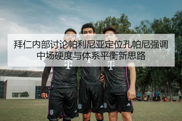 拜仁内部讨论帕利尼亚定位孔帕尼强调中场硬度与体系平衡新思路